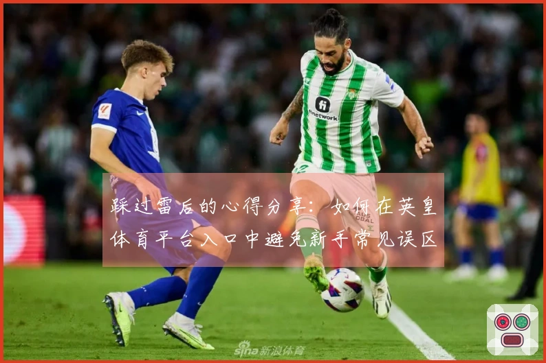 踩过雷后的心得分享：如何在英皇体育平台入口中避免新手常见误区