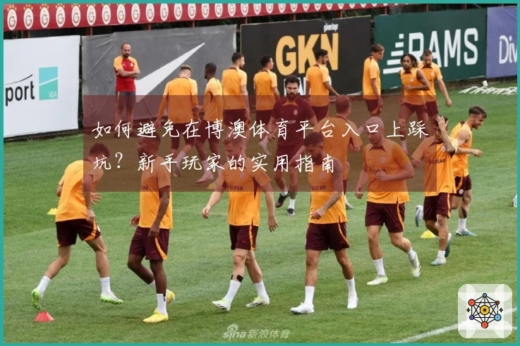 如何避免在博澳体育平台入口上踩坑?新手玩家的实用指南