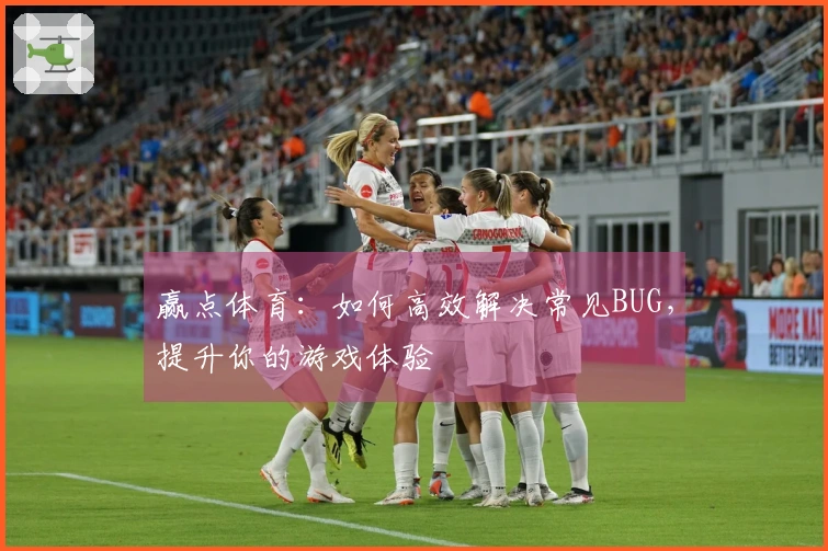赢点体育：如何高效解决常见BUG，提升你的游戏体验